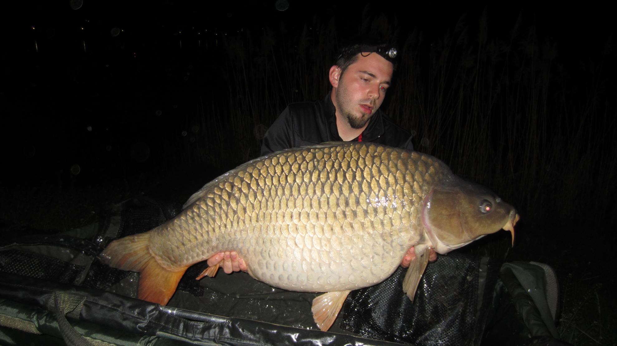 Harsany 1 - 5 mai. - img2544.JPG